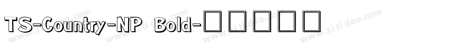 TS-Country-NP Bold字体转换
